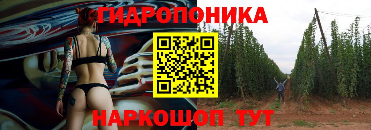 Холмск  Канабис гибрид  Вход с VPN  Шишки марихуана марихуана 